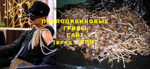 стаф Богородск