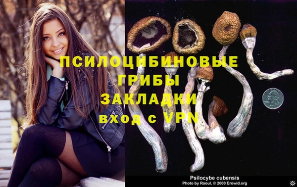 гидропоника Богородицк