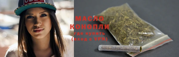 стаф Богородск