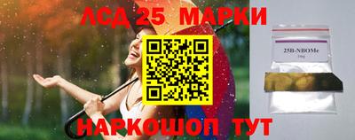 МДПВ Бердск