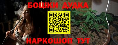 МДПВ Бердск