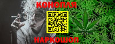 МДПВ Бердск