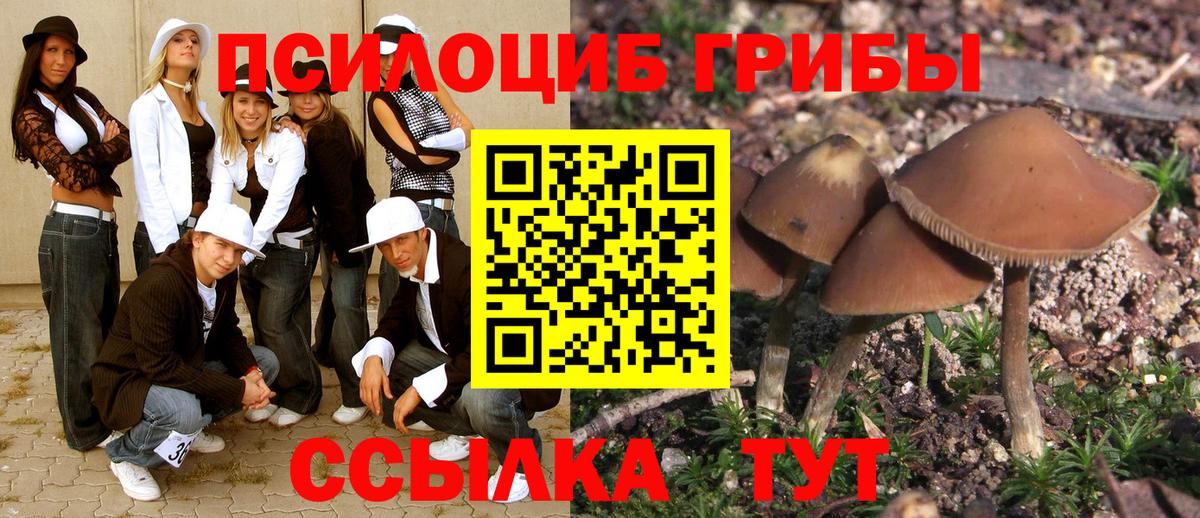Псилоцибиновые грибы Psilocybine cubensis  Вход с VPN  Богородск 