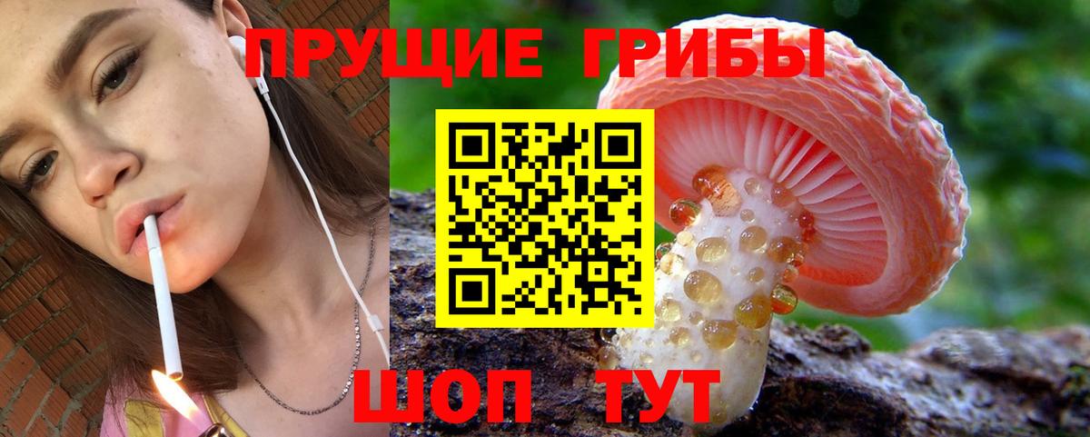 Псилоцибиновые грибы Magic Shrooms Богородск